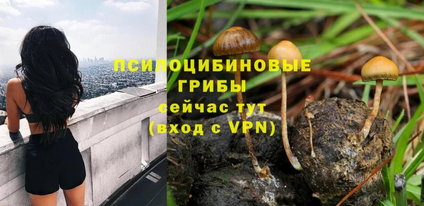 бутират Арсеньев