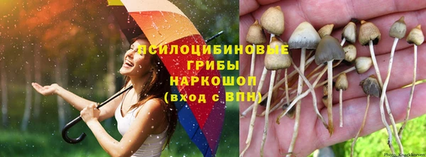 бутират Арсеньев