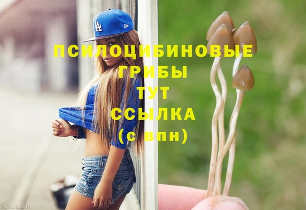 соль ск Армянск