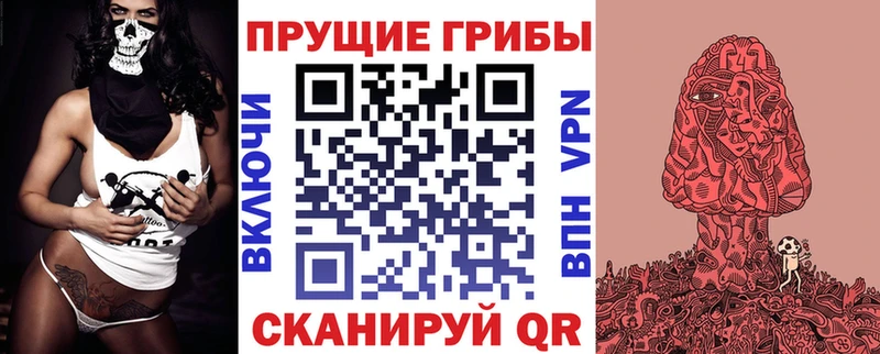 купить наркоту  Северобайкальск  Галлюциногенные грибы Psilocybe 